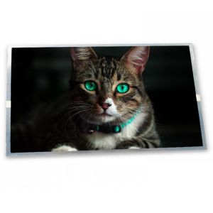 5.6-Inch LQ6AN101 WLED TFT LCD Display Module with 320*234 Resolution Specific Application OLED Modules ODM Supplier