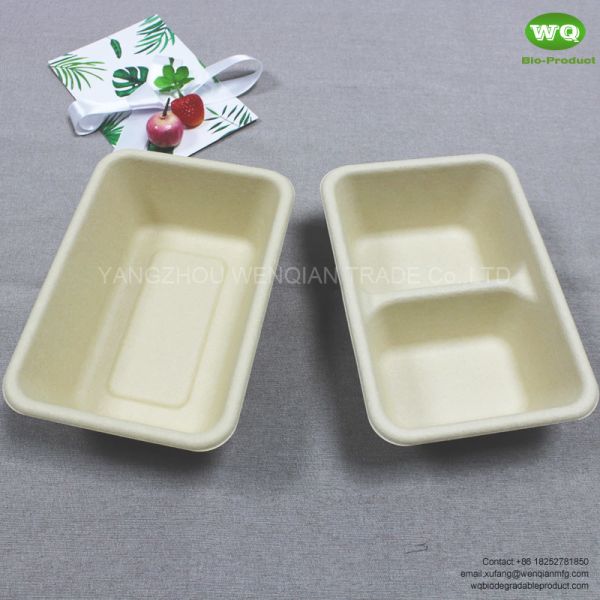Quality Eco-Friendly 700ml Rectangular Pulp 2-Coms Meal Boxes With Lid-Biodegradable Lunch Boxes With Lid for sale