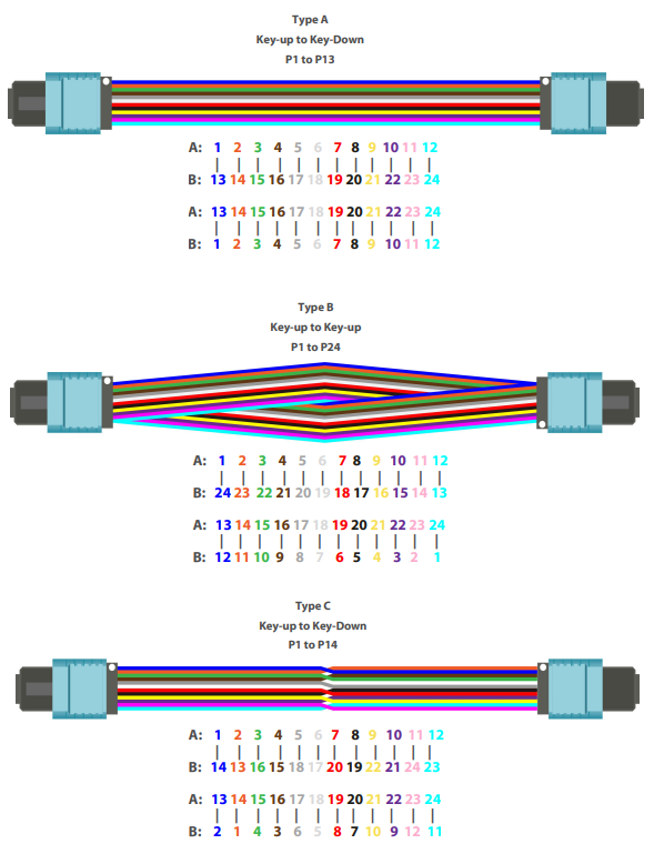 Single Mode G657A 24F MPO Trunk Cable MTP Fiber Optic Patch Cable Type A / Type B / Type C