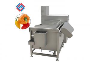 China 250L Multi Functional Vegetable Cleaning Machine With Full Stainless Steel Washing Tank on sale