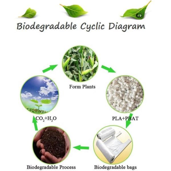 Biodegradable and compostable PLA gloves,OEM cheap biodegradable kitchen disposable gloves with EN13432 BPI OK compost h