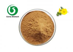  Pure Natural Supplements Saponins 90% Tribulus Terrestris Extract Powder Manufactures