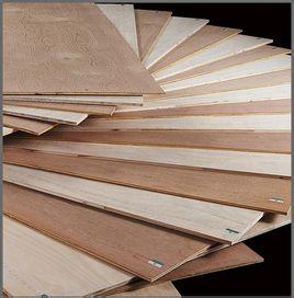 China middle east  market bintangor plywood high quality on sale