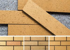  Outdoor Thin Clay Split Face Brick With Wire - Cut Face 240x60mm Manufactures