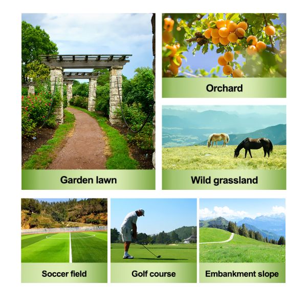 US Spot CE Approved Remote Control Crawler Gasoline Powered Wireless Control Lawn Mower Orchard Self-Propelled Mowing Machine