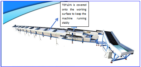 Customized Fruit Vegetable Grader Machine With Siemens Color Touch Screen