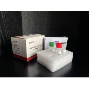 Nucleic Acid 2019-NCov Real Time PCR Kit SARS-CoV-2 With Excellent Performance
