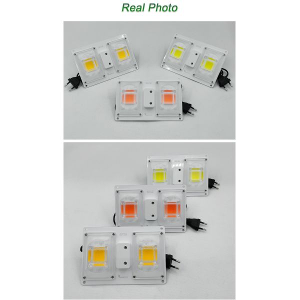 220v COB LED Chip
