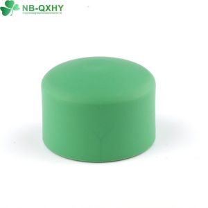  Customization QX Pn 25 PPR Pipe Fitting with Customized Request Manufactures