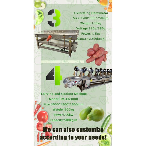 Commercial Usage Automatic Fruit Washing Drying Line for Vegetable Processing Units