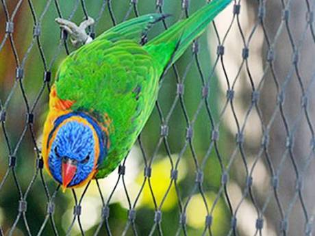 Stainless Steel Wire rope aviary mesh