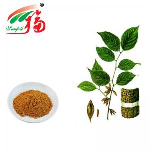  Animal Feed Natural Herb Supplement Extract Eucommia Ulmoides Chlorogenic Acid Manufactures
