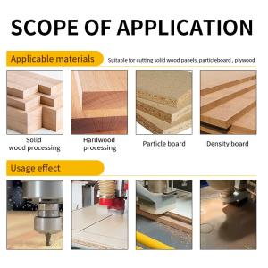 Customized Cheap Price 1/2 12mm Shank TCT Two-Edged Straight Bit Router for CNC